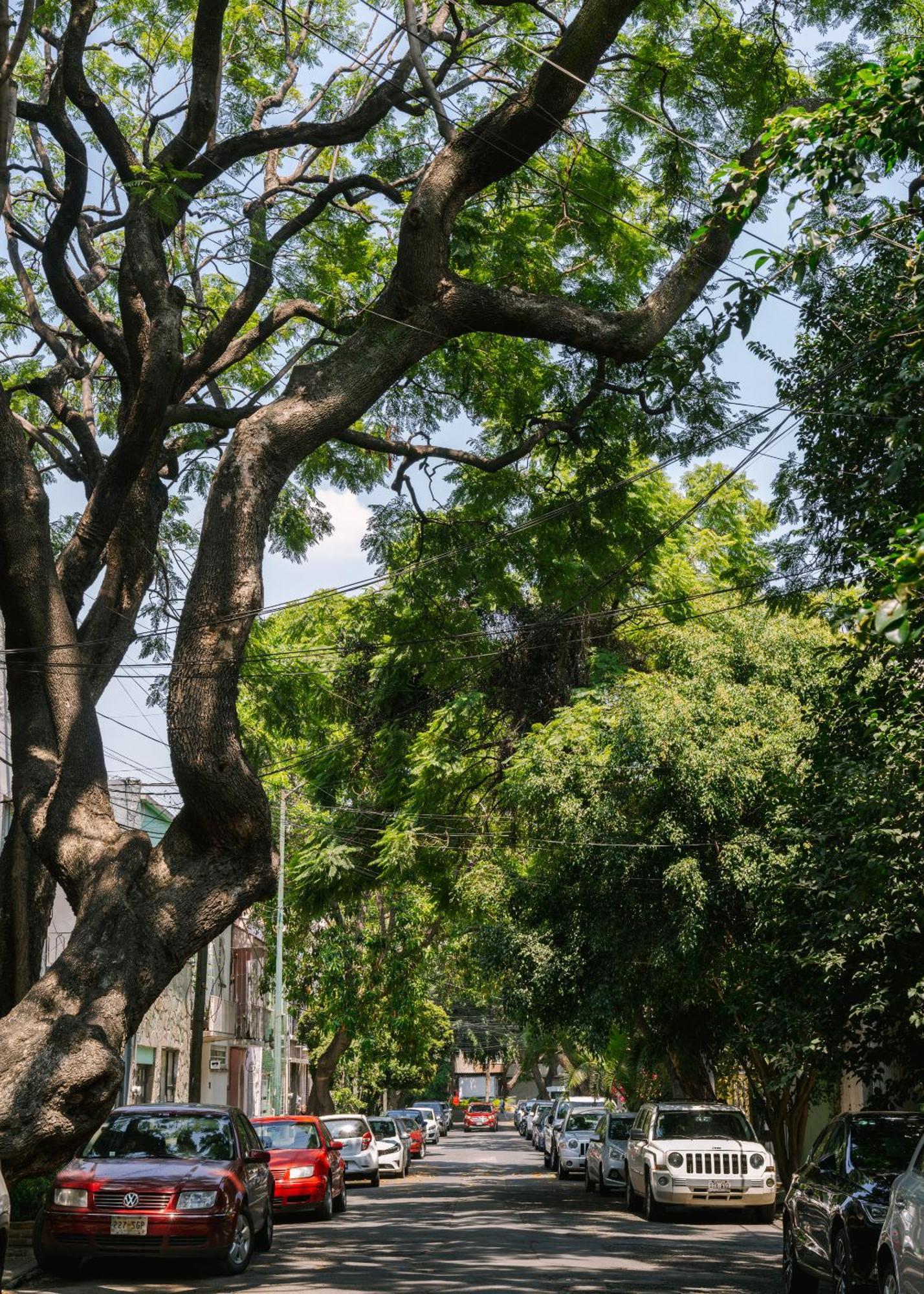 Sonder Miravalle Mexico City Exteriör bild